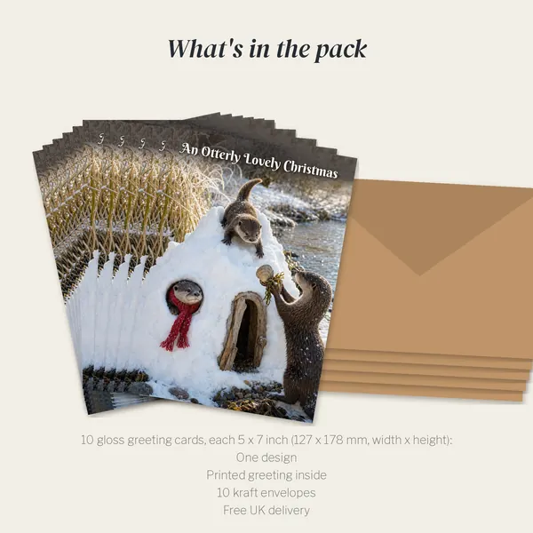 What is in the An Otterly Lovely Christmas pack: 10 cards and 10 kraft envelopes