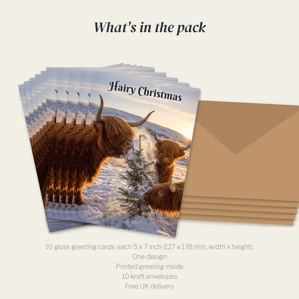 What is in the Hairy Christmas pack: 10 cards and 10 kraft envelopes