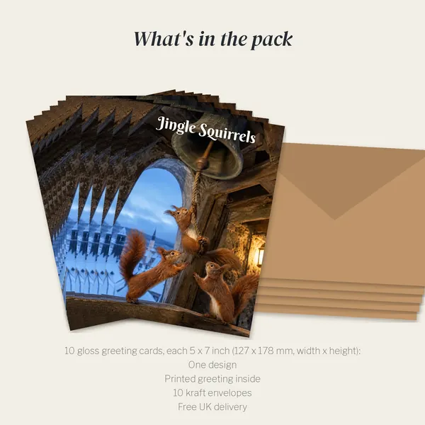 What is in the Jingle Squirrels pack: 10 cards and 10 kraft envelopes