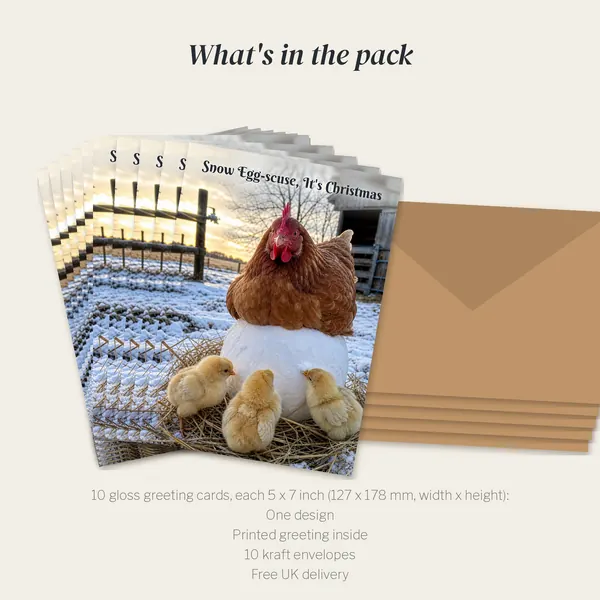 What is in the Snow Egg-scuse, It's Christmas pack: 10 cards and 10 kraft envelopes