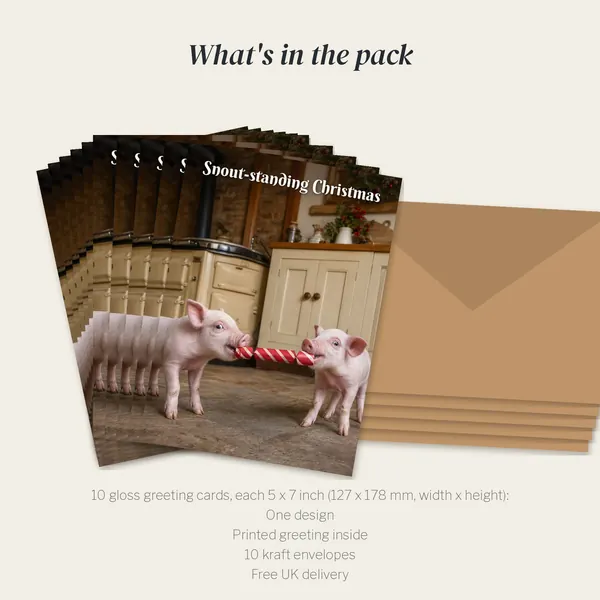What is in the Snout-standing Christmas pack: 10 cards and 10 kraft envelopes