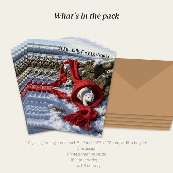 What is in the A Stoatally Cosy Christmas pack: 10 cards and 10 kraft envelopes